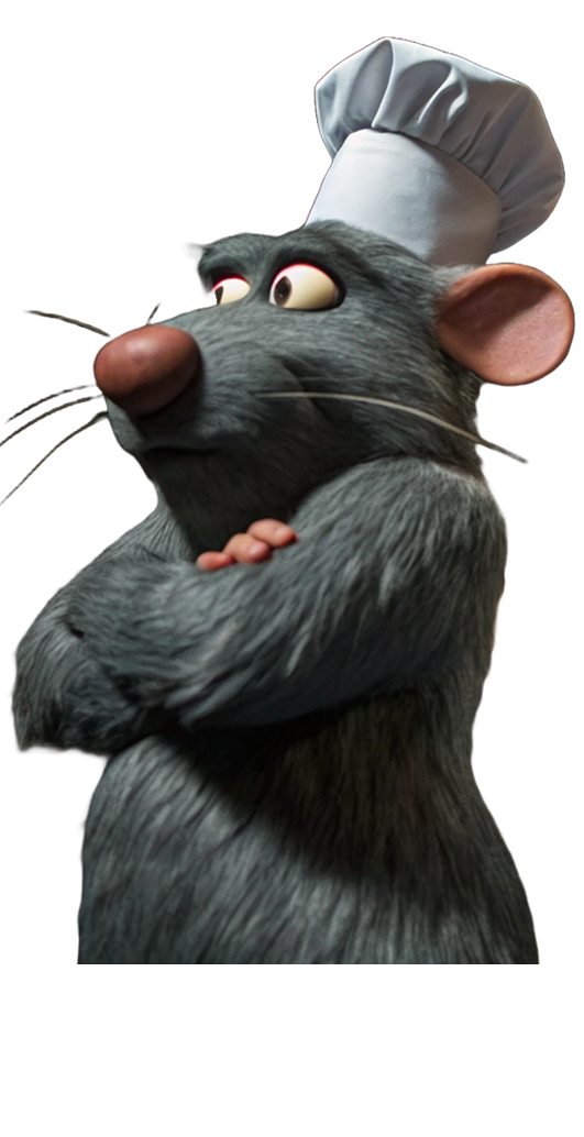 Remy's Picture